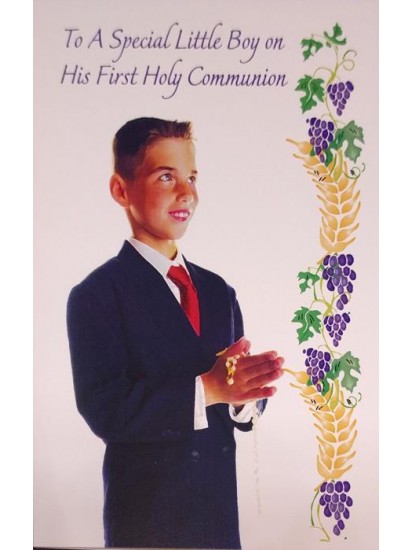 Boy First Holy Communion Card...